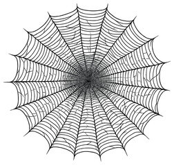 Fototapeta premium Spider web 3d icon. featuring detailed and intricate designs for halloween, nature, and decoration themes