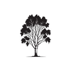 Fototapeta premium Birch tree Vector (2).eps