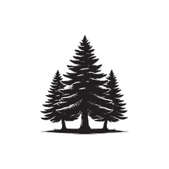 Fototapeta premium Douglas Fir tree Vector (2).eps