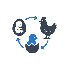 Chicken life cycle icon