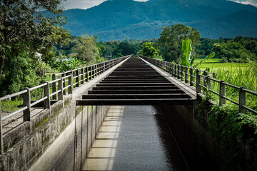 Fototapeta premium bridge over the river