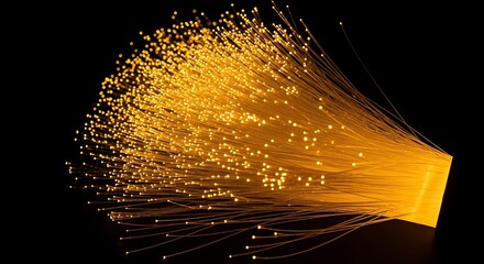 Fiber Optic Cables - High-Speed Data Transmission.
