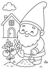 Coloring book gnome planting tomato seedlings in the garden.