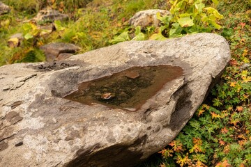 Fototapete bei efototapeten.de bestellen   