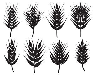 A collection of stylized black wheat and barley silhouettes. Graphic vector elements for farming, bakery, and organic food design concepts