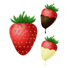 strawberries in white and black chocolate.vector illustration of berries