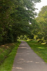 Virginia Water Paths