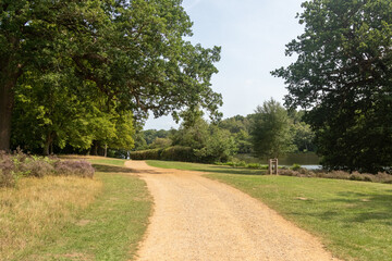 Virginia Water Paths