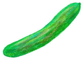 キュウリのイラスト オイルパステル画