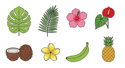 Colorful set of tropical fruit and leaf illustrations including banana, coconut, hibiscus, and pineapple.
