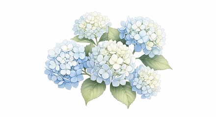 A Beautiful Watercolor Painting of a Hydrangea Bouquet with Light Blue and White Flowers and Green Leaves