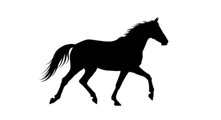 Silhouette of a majestic black horse in motion.