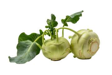 Two fresh kohlrabi bulbs with green leaves, isolated on transparent background. background removed