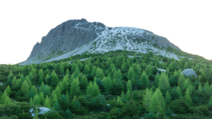 A snow-dusted mountain peak rises above a lush green forest, a serene landscape. background removed