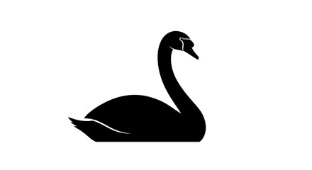 Elegant Silhouette of a Black Swan Resting Gracefully.