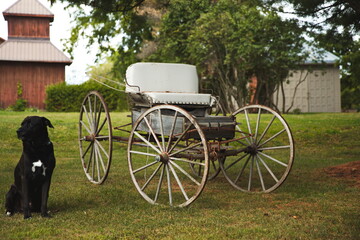 An old horse-drawn buggy sitting in a backyard in Ontario, Canada.