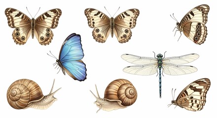 A Beautiful Collection of Delicate Butterflies and Graceful Dragonflies Alongside Adorable Snails in a Whimsical Nature Scene