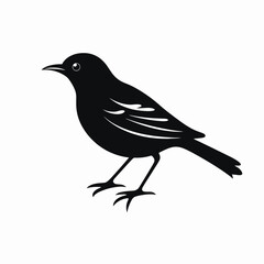 Obraz premium Minimalist black bird illustration vector art, representing avian beauty silhouette
