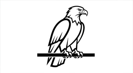 Black and White Eagle Perched on a Horizontal Branch.
