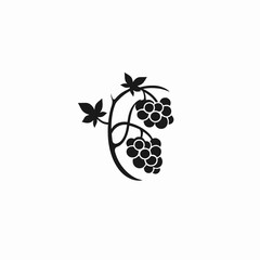 Elegant grape vine with leaves in minimalistic vector graphic design silhouette