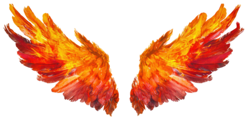 Two fiery wings against a white background. The concept of fire and wings.