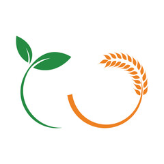 Green leaves and orange wheat stalks form a circular design agriculture growth