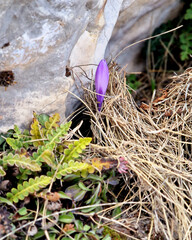 Obraz premium Campo Imperatore, Gran Sasso, Abruzzo