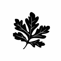 Bold graphic design element showcasing a single leaf in striking silhouette