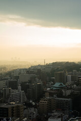 City view(シティビュー)