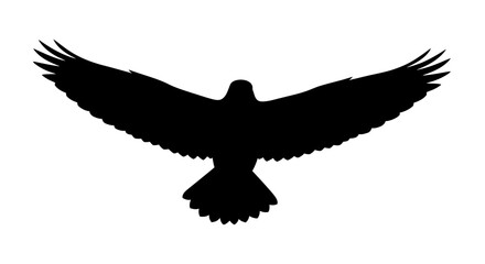 Majestic Black Silhouette of a Soaring Eagle.