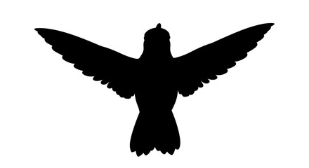 Silhouette of a Bird in Flight with Wings Spread Wide.