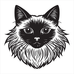 A Majestic Portrait of a Birman Cat, a Gentle and Sacred Breed with a Silky, Pointed Coat, Stunning Blue Eyes, and Distinctive White Gloves