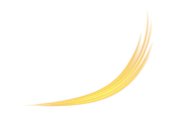 Obraz premium Luminous orange lines of speed. Light glowing effect. Abstract motion lines. Light trail wave, fire path trace line, car lights, optic fiber and incandescence curve twirl