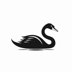 Graceful black swan floating in serene water, shown as a silhouette