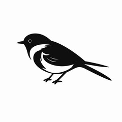 Striking black and white bird illustration creating a simplistic wildlife silhouette