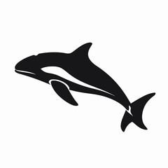 Captivating orca whale leaping elegantly from the depths ocean waters, monochrome silhouette