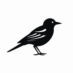 Obraz premium Elegant black bird vector illustration showcases intricate feather details silhouette