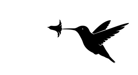 Silhouette of a Hummingbird Feeding on a Flower.