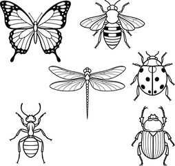 Black and white insect vector set with butterfly, bee, dragonfly, beetle, ant and ladybug illustration for coloring pages