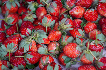 Fresh Strawberries, captured on September 1, 2025. Close-up of ripe red strawberries with green leaves, natural daylight highlighting freshness, vibrant organic fruit photography