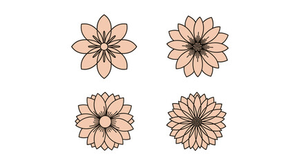 Beautifully illustrated delicate petal flowers in various stages of bloom and complexity