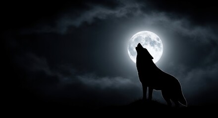 Fototapeta premium Silhouetted Wolf Howling at Full Moon Night Scene in Dark Sky