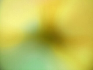 Soft Yellow and Green Gradient Blurred Background with Subtle Texture abstract