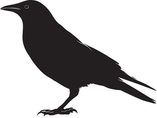 Mysterious crow silhouette vector illustration design graphic