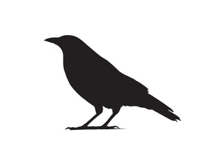 Flying crow bird silhouette vector illustration artwork