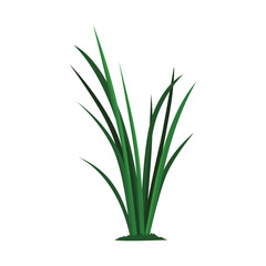 green field grass illustration design. 