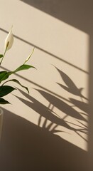 Peace lily flower and leaves casting shadows on a neutral wall, creating a minimalist and serene composition.