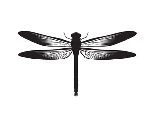 Beautiful Dragonfly Symbol Isolated in Clean Solid Illustration