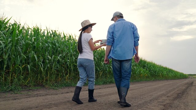 Farmers woman man teamwork in corn field. Agricultural industry. Farmers man woman with digital tablet inspecting crops in corn field. Digital technologies in agriculture. Business people growing corn - Powered by Adobe