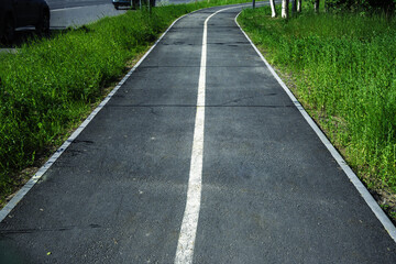 Scenic Bike Path Through a Shady Park